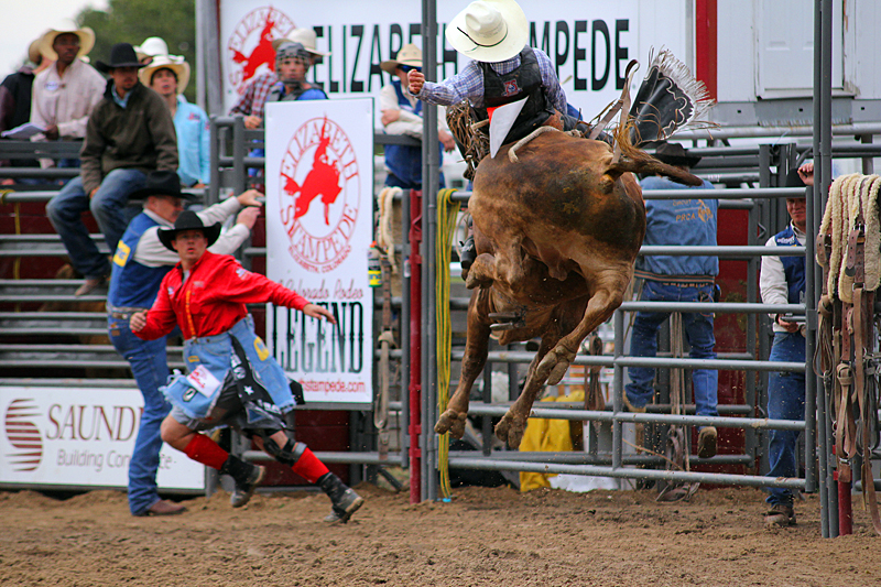 bull-riding-rodeo