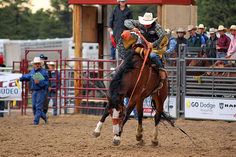 elizabeth-stampede-rodeo-colorado-usa