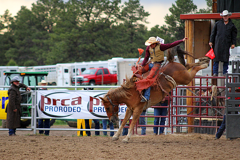 typisch-usa-rodeo