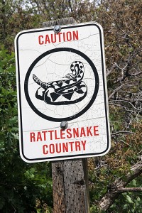 rattle-snake-warning