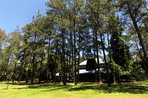 nande-reta-lodge-colonia-carlos-pellegrini
