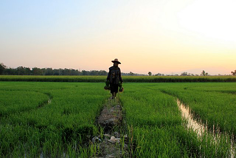 sukhothai-kleine-weltreise