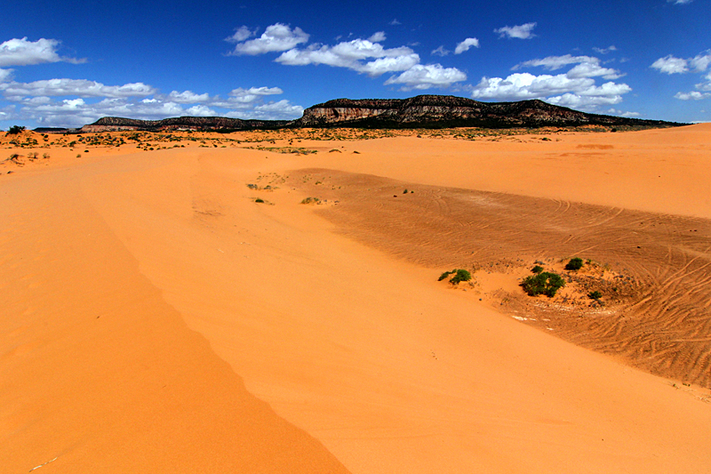 coral-pink-sand-dunes-state-park-utah