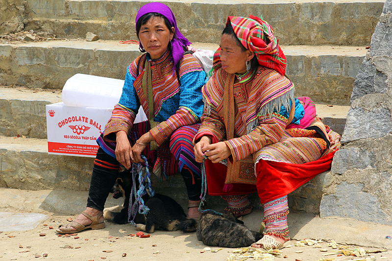 flower-hmong-bac-ha