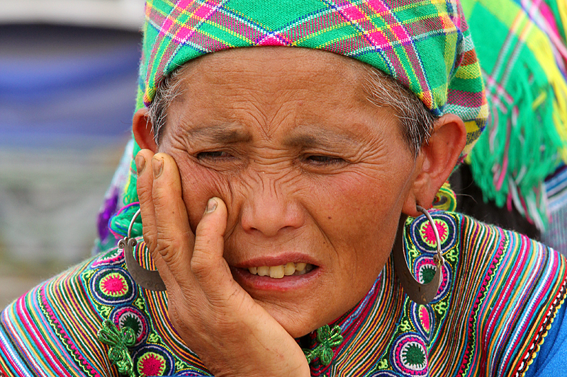 flower-hmong-back-ha-vietnam