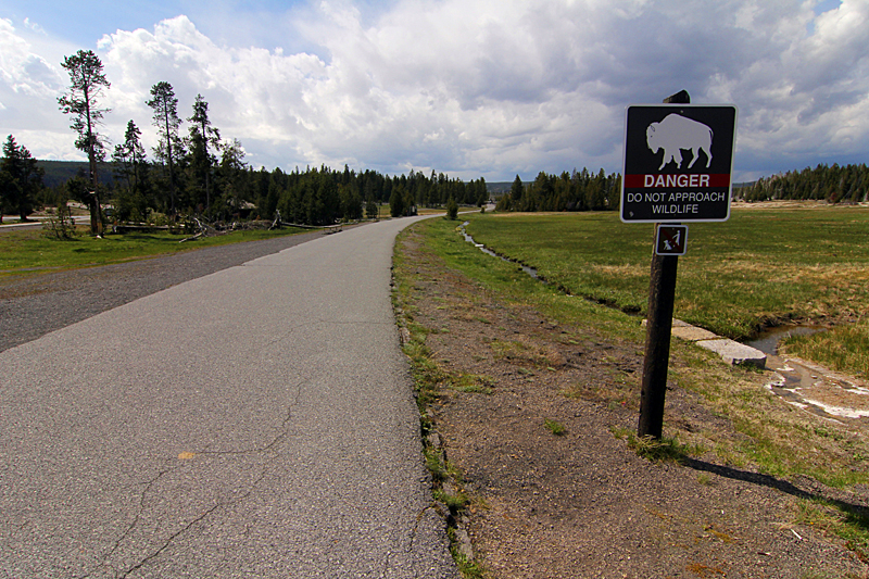 beware-of-buffalo-yellowstone-nationalpark