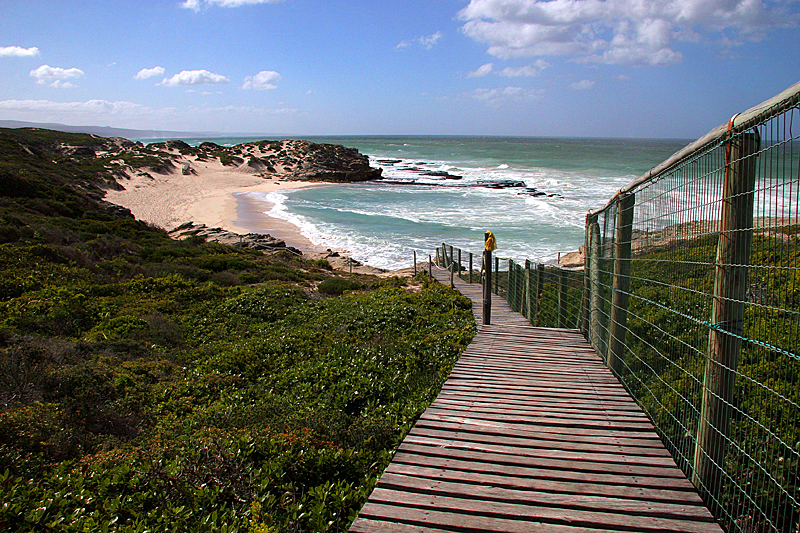 de-hoop-nature-reserve-garden-route