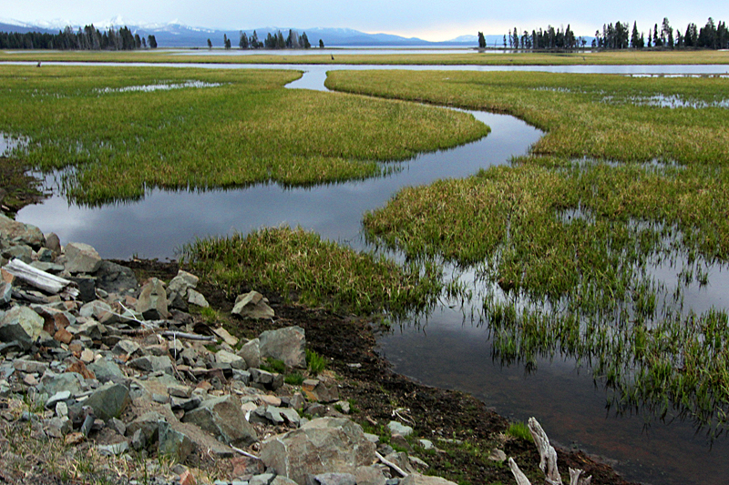 high-plains-yellowstone-nationalpark