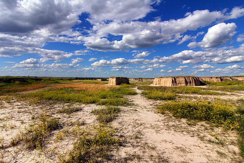 prarie-grass-land-badlands-south-dakota