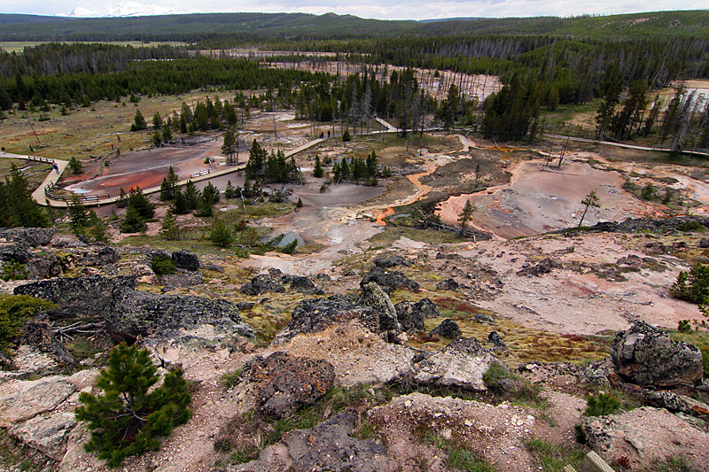 yellowstone-usa