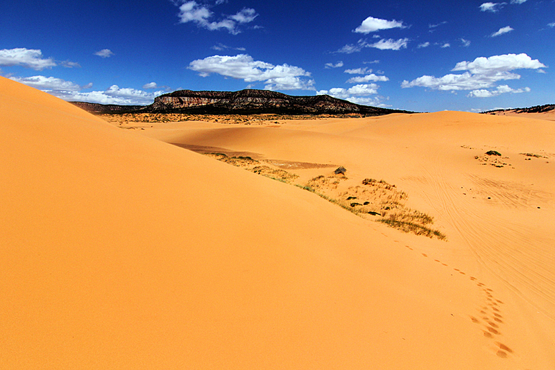 usa-reiseroute-coral-pink-sand-dunes-state-park-utah