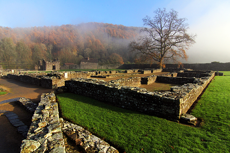 kloster-ruine-tintern-abbey