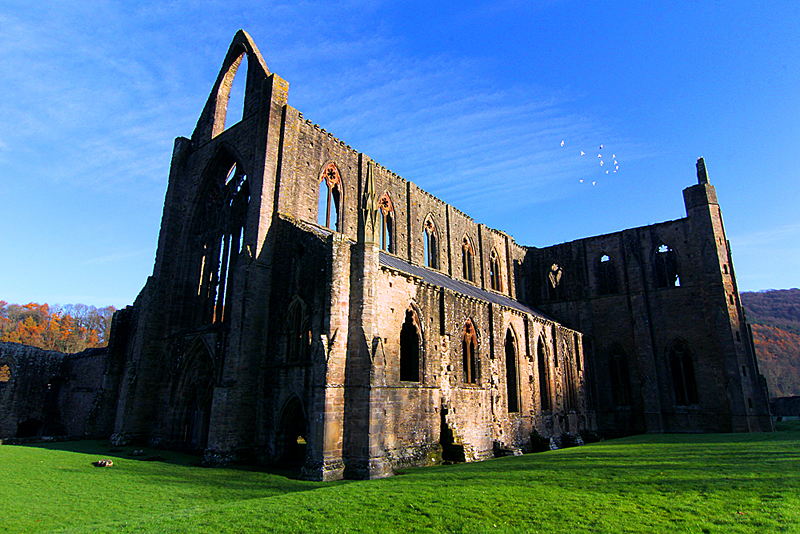 roadtrip-tintern-abbey-wales