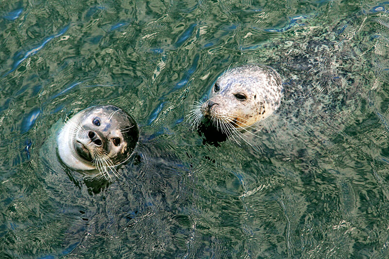 marine-science-center-rostock