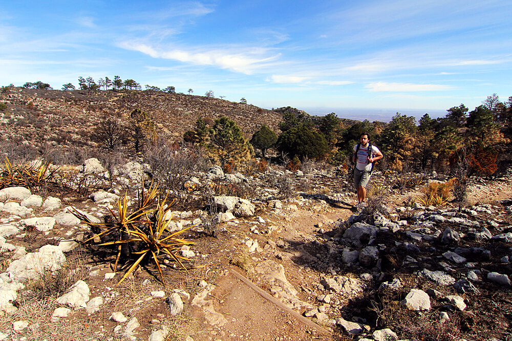 guadalupe-mountains-national-park-wandern