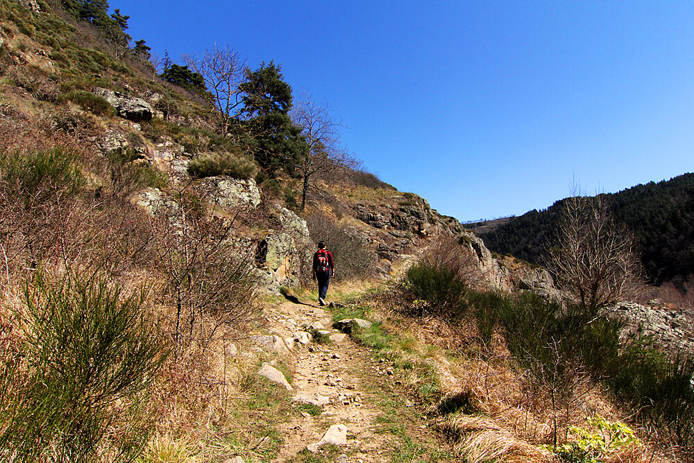 wandern-auvergne