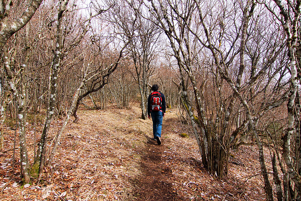 wanderungen-auvergne