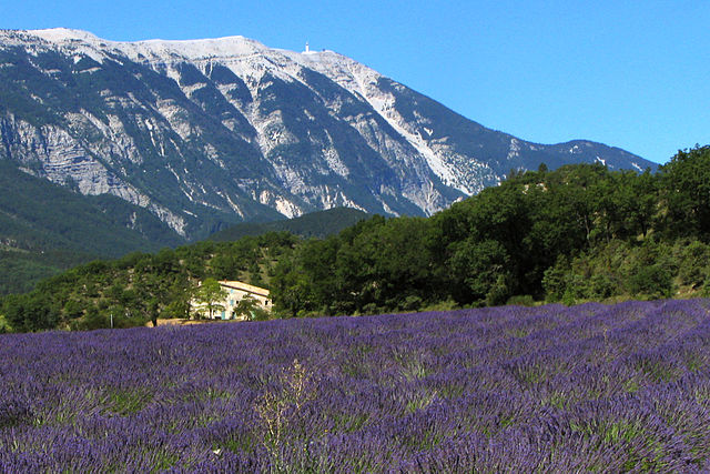 provence-mont-ventoux