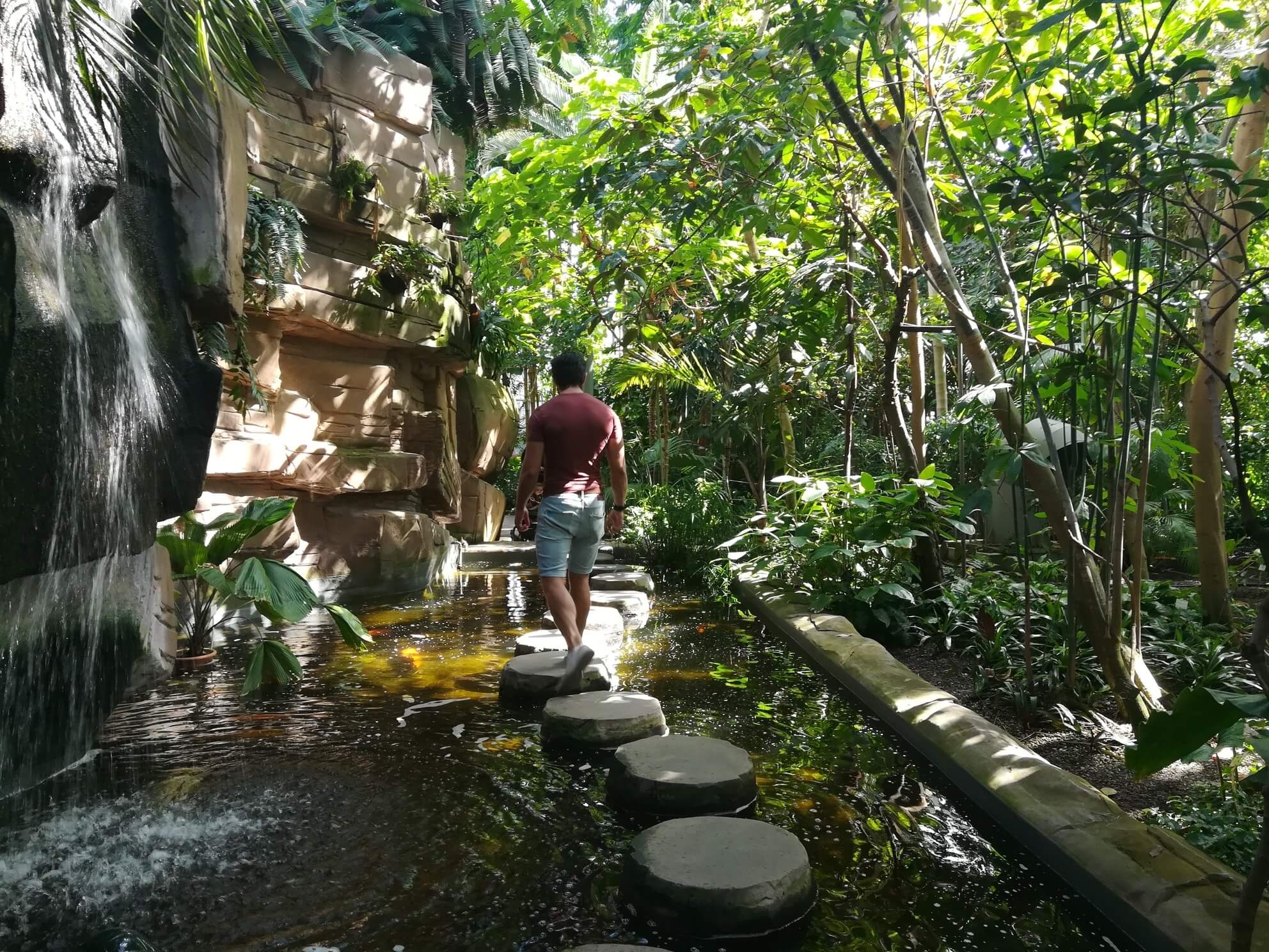 sommer in berlin botanischer garten