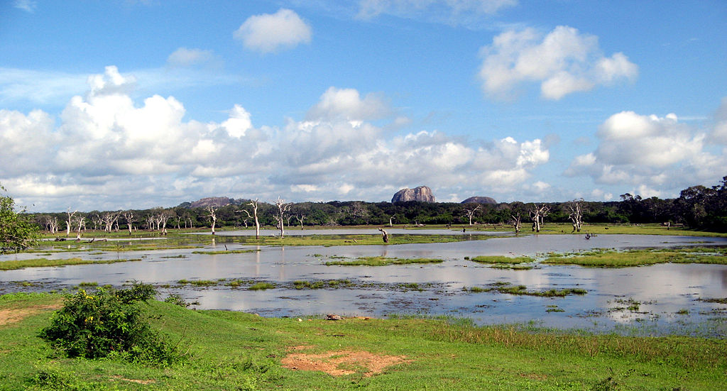 Reiseroute Sri Lanka – Safari im Yala National Park