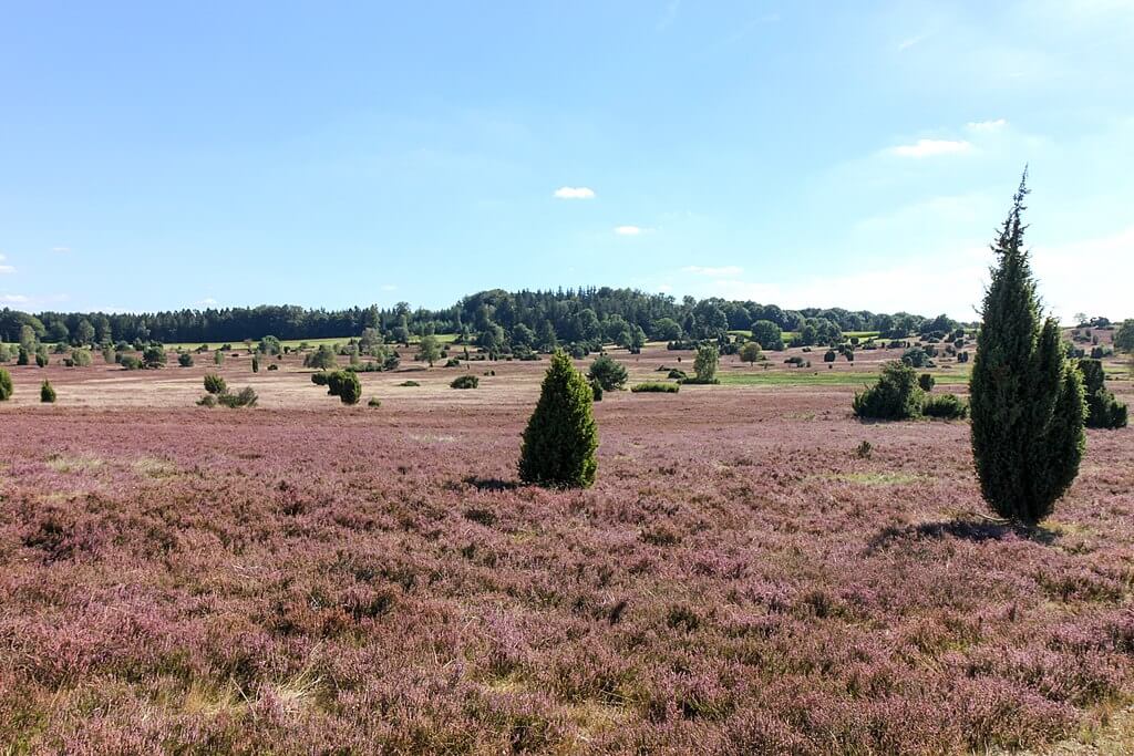 Motorradtouren Berlin – Lüneburger Heide