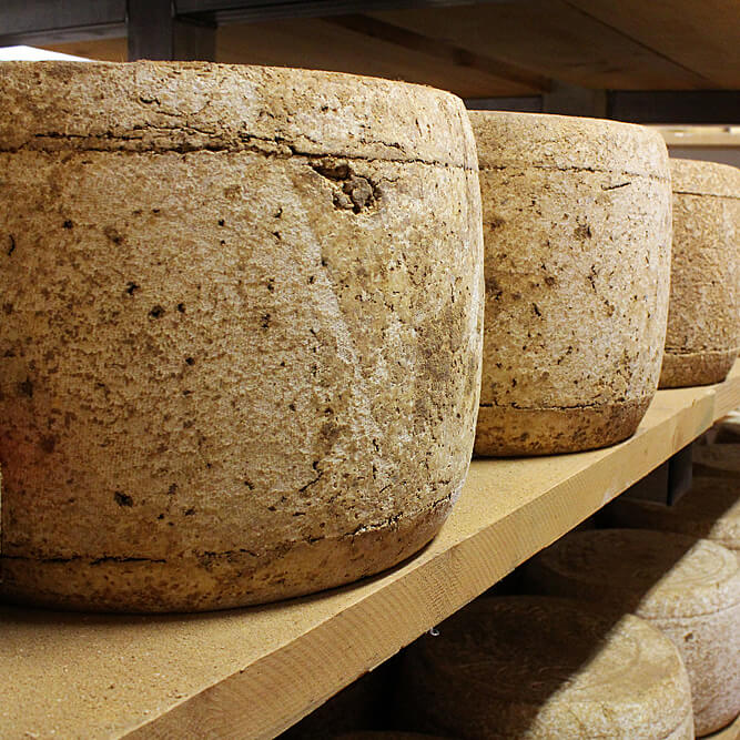 Käse aus der Auvergne | Tipps für Feinschmecker – mit Rezept