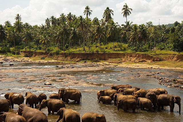 sri lanka reisezeit